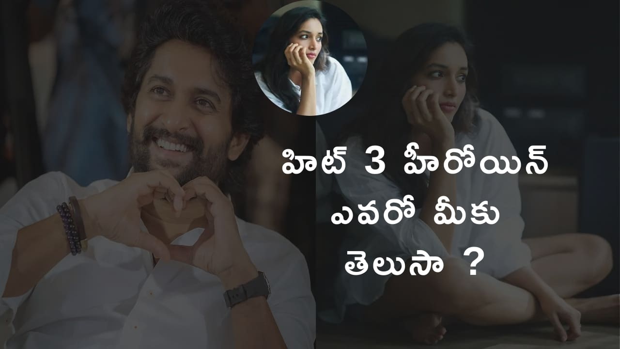 హిట్ 3 హీరోయిన్ ఎవరో మీకు తెలుసా ?